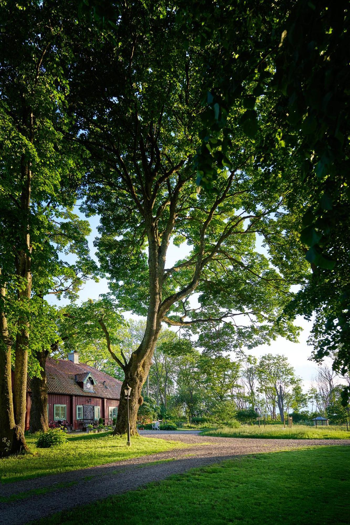 Kungs Starby Gard Bed And Breakfast Vadstena Extérieur photo