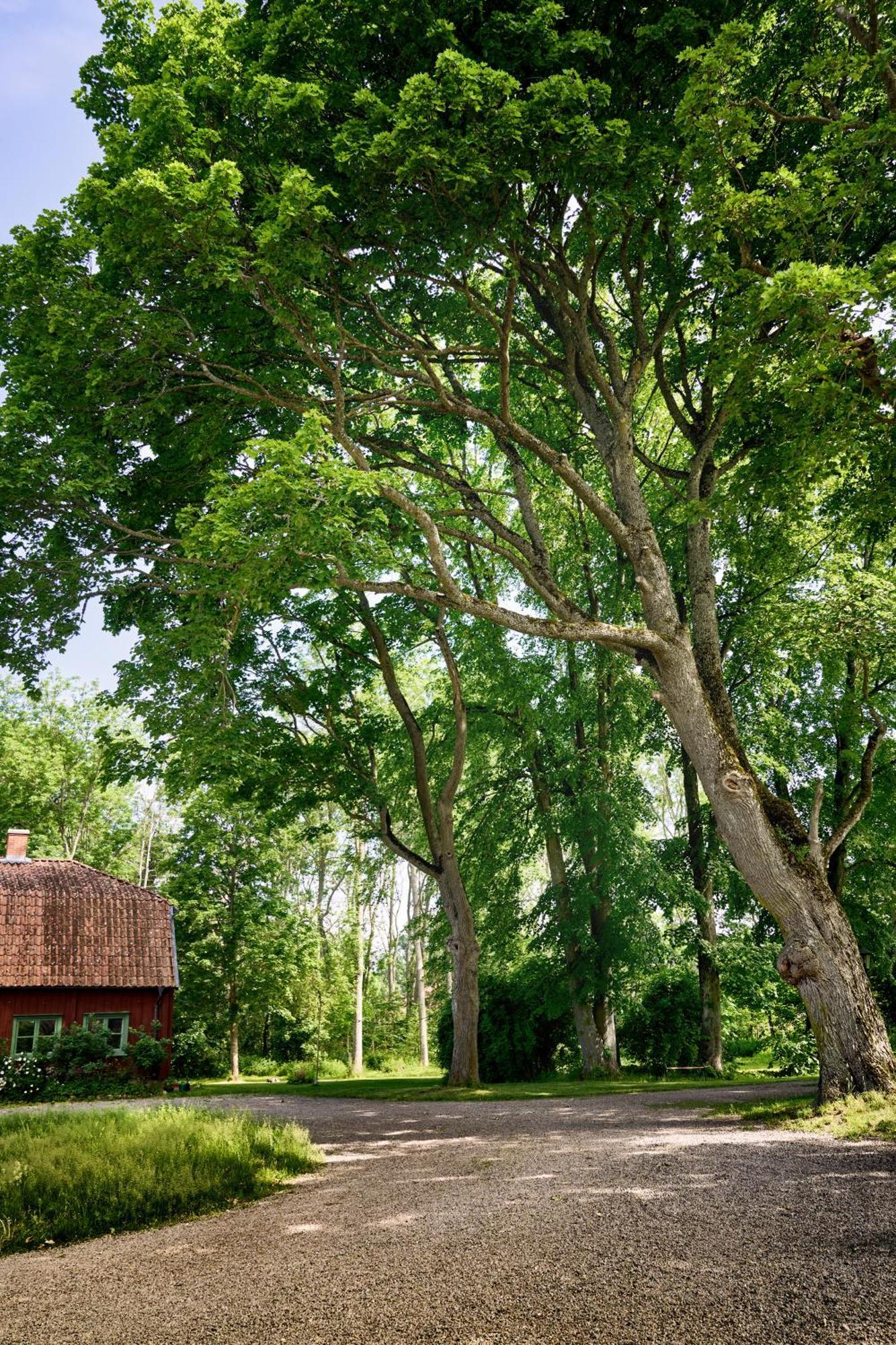 Kungs Starby Gard Bed And Breakfast Vadstena Extérieur photo